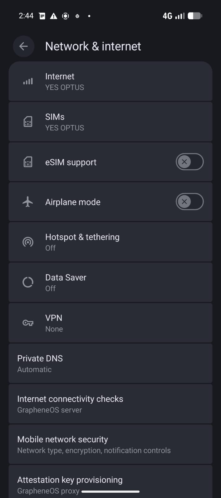 GrapheneOS network settings with private DNS