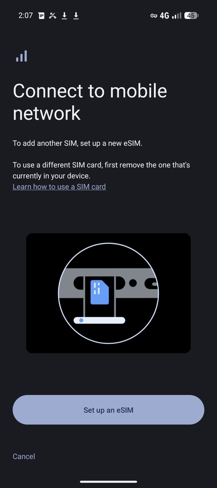 GrapheneOS eSIM setup screen