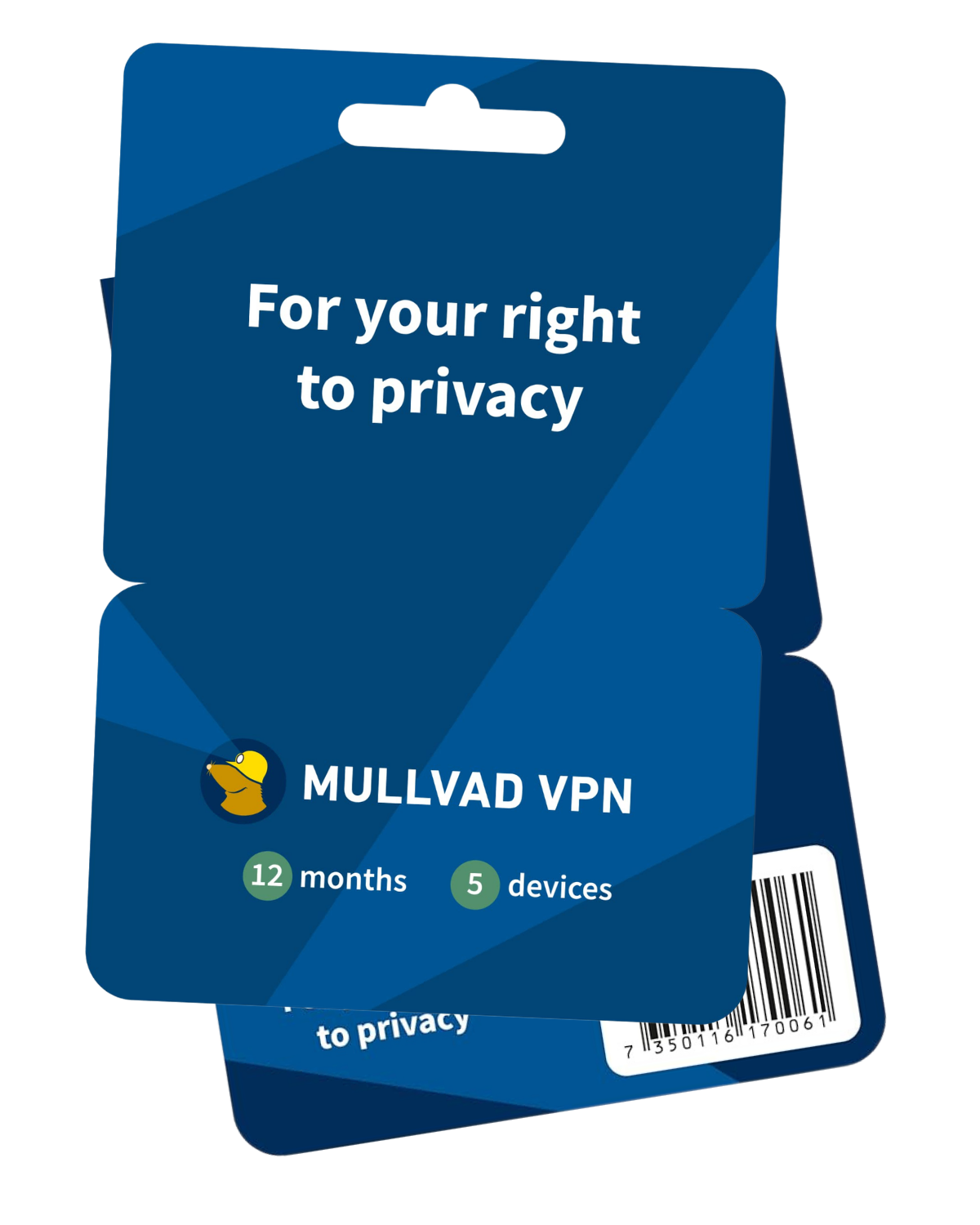 Mullvad VPN (12 Months)