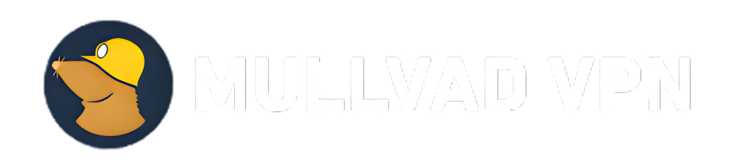 Mullvad VPN — 12 month privacy subscription