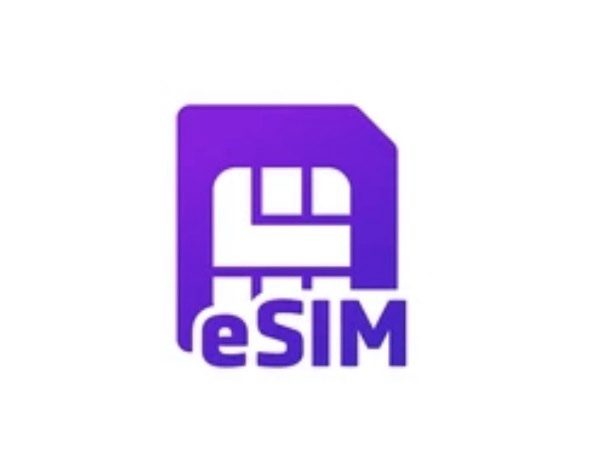 Global Data eSIM (12 Months) logo